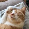 lisa_trainor